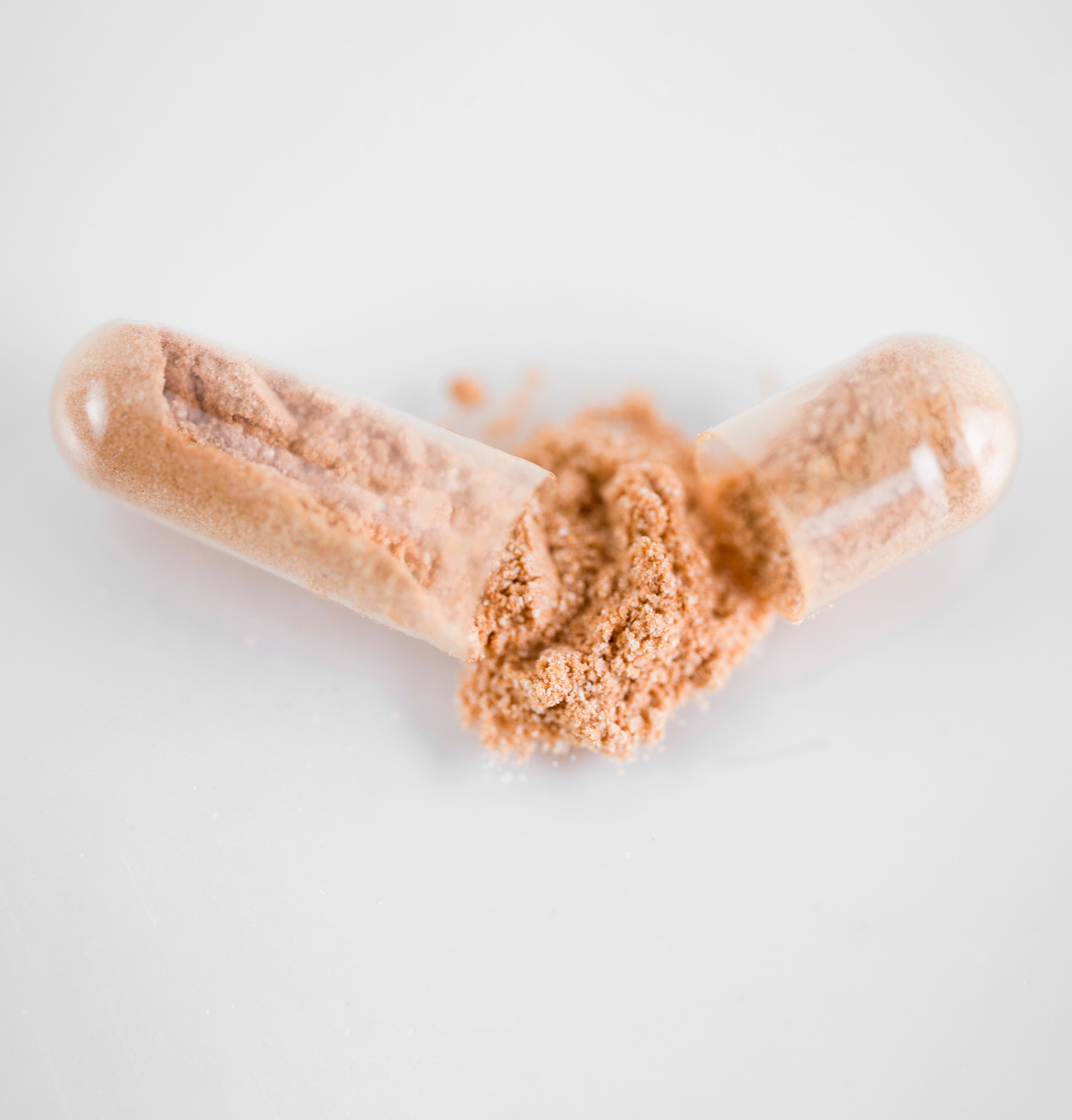 El Pycnogenol® | 60 Cápsulas