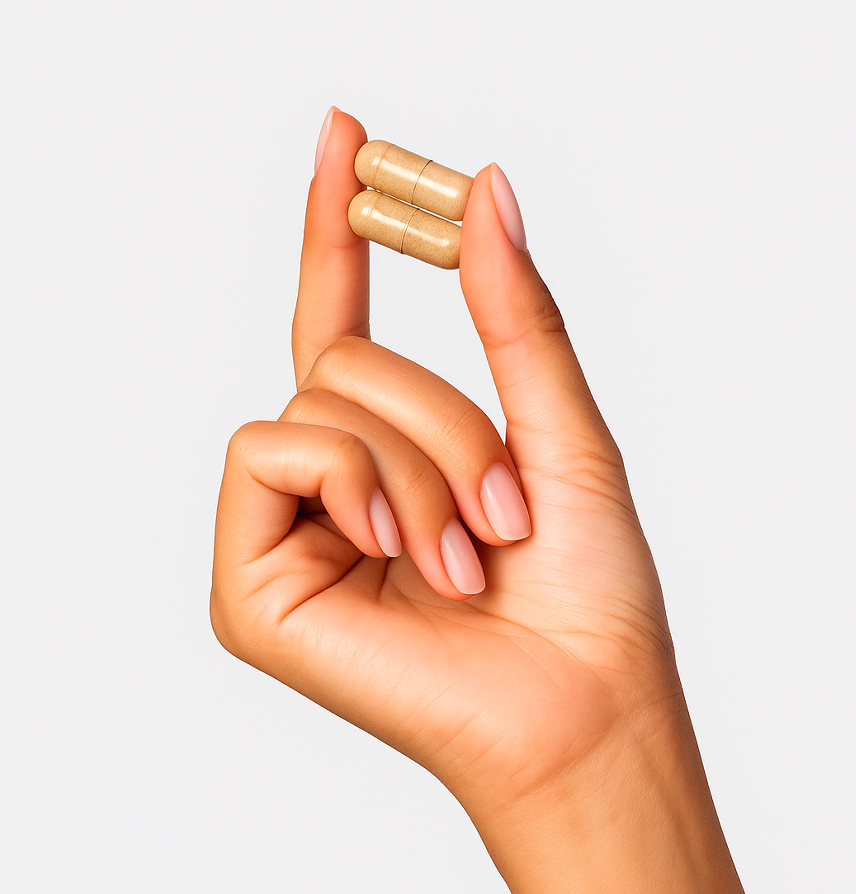 El Pycnogenol® | 60 Cápsulas