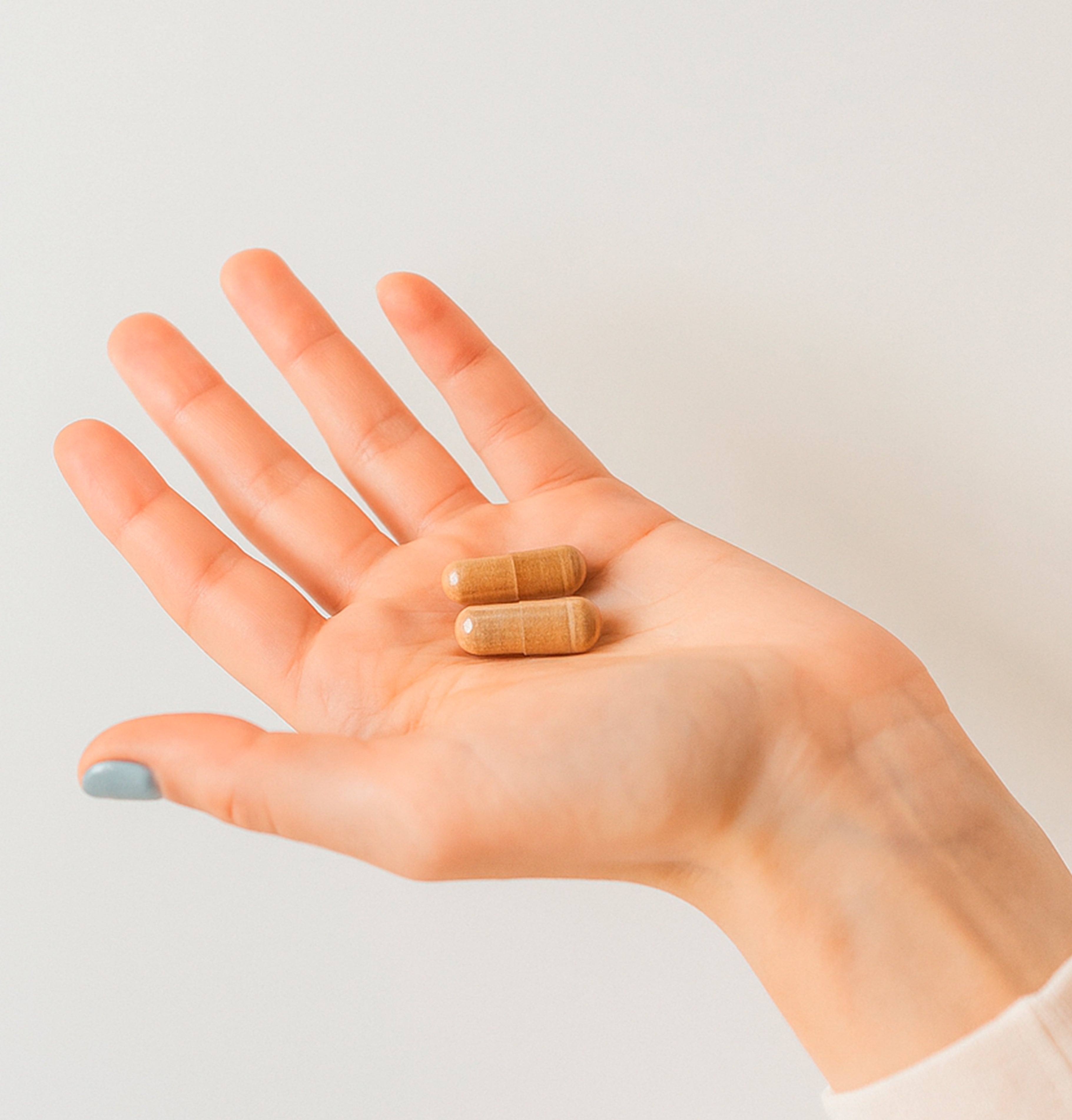 El Pycnogenol® | 60 Cápsulas