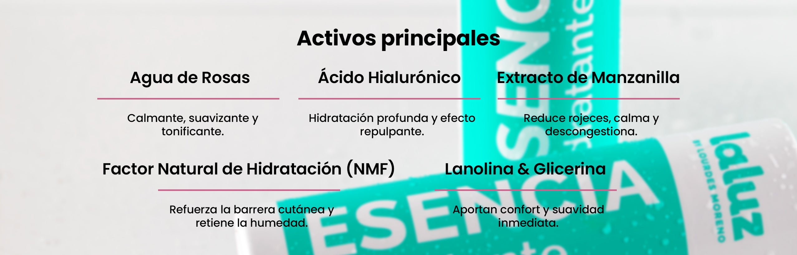 Activos principales