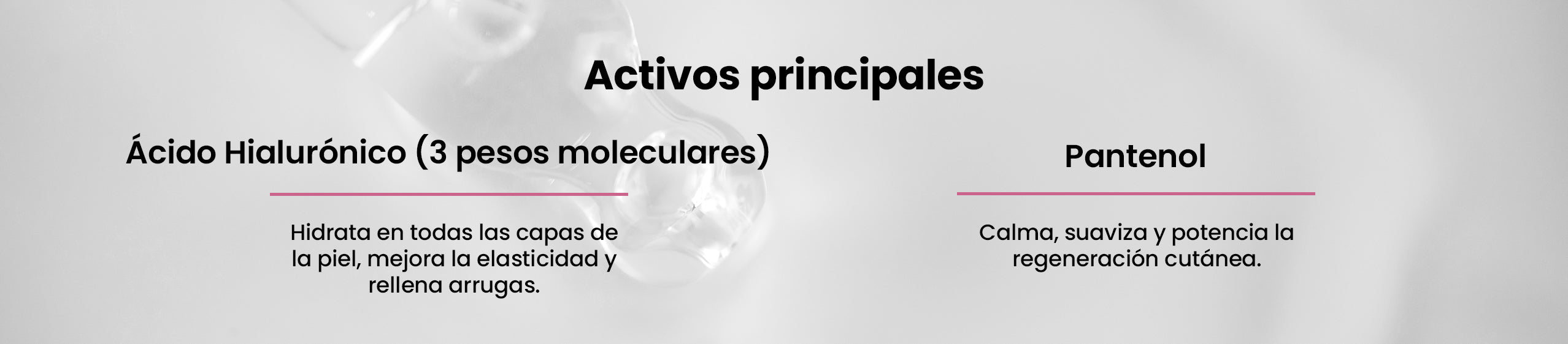 Activos principales