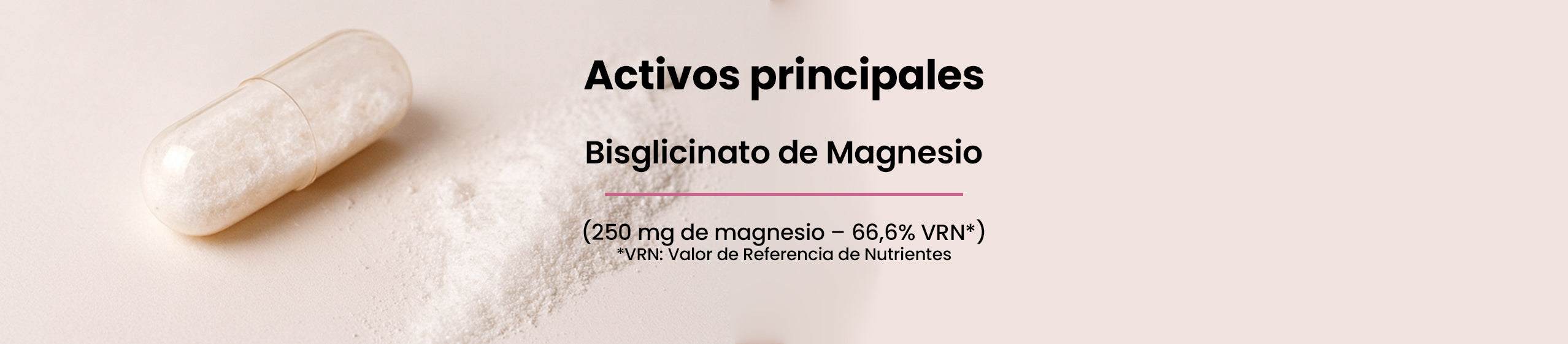 Activos principales