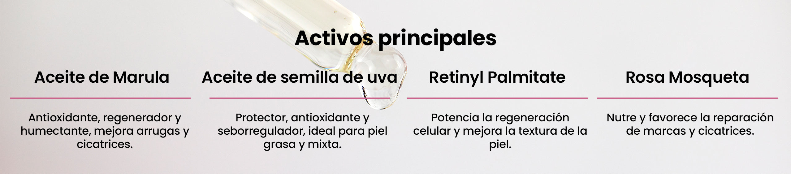 Activos principales