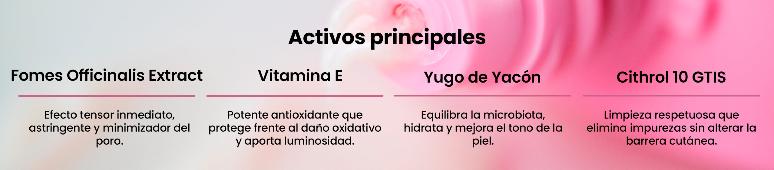 Activos principales