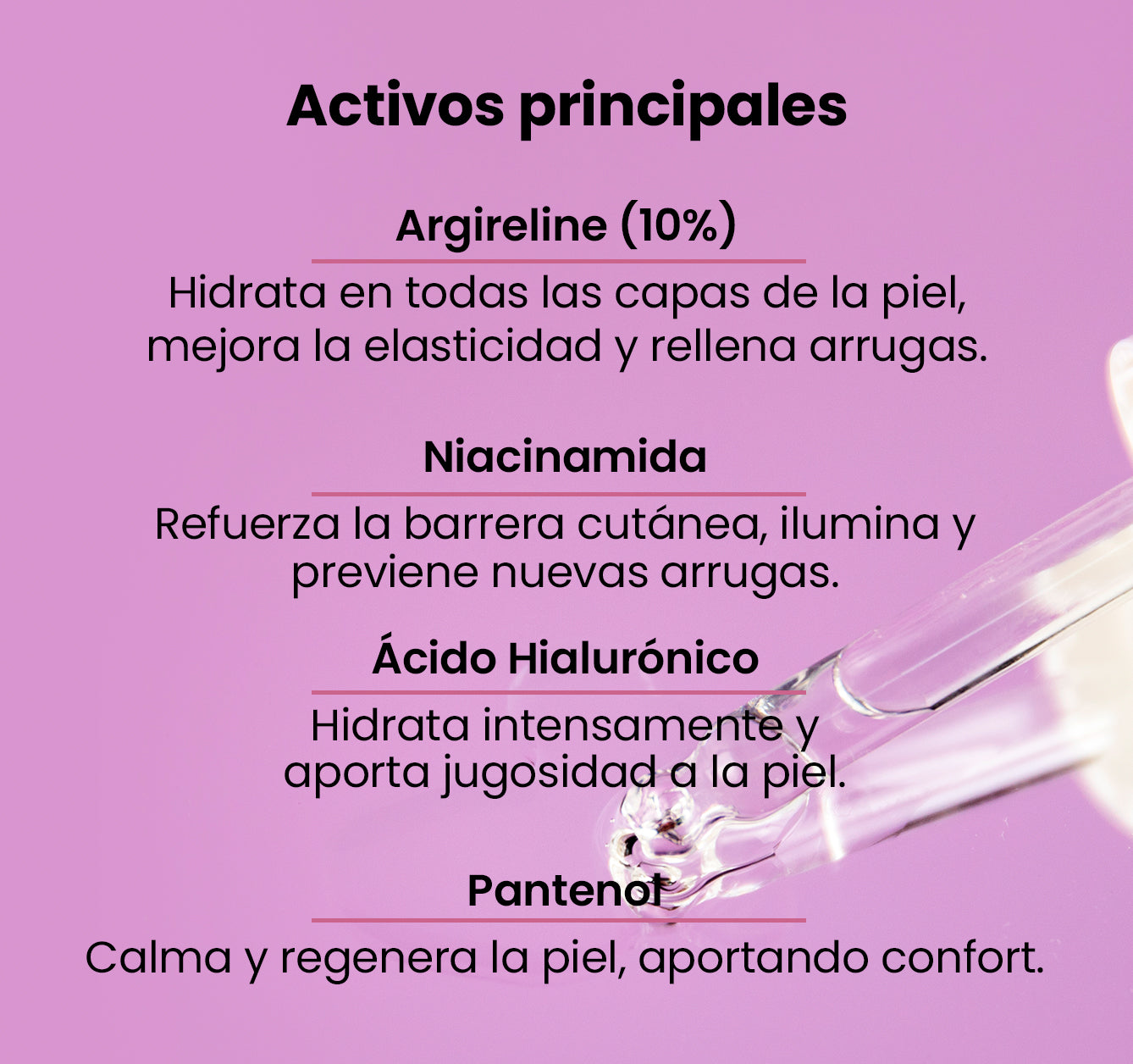 Activos principales