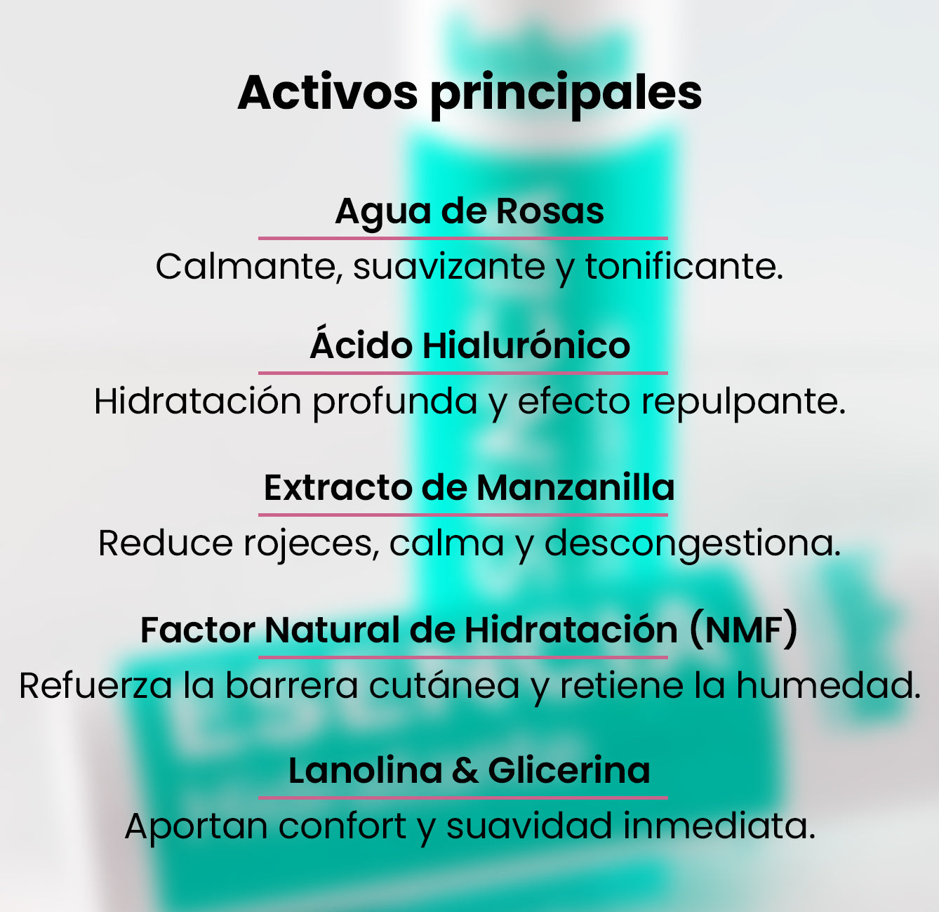 Activos principales