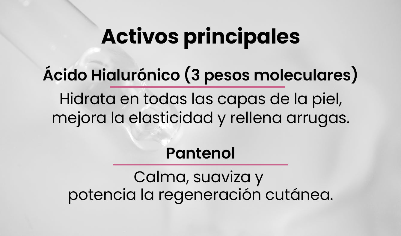 Activos principales