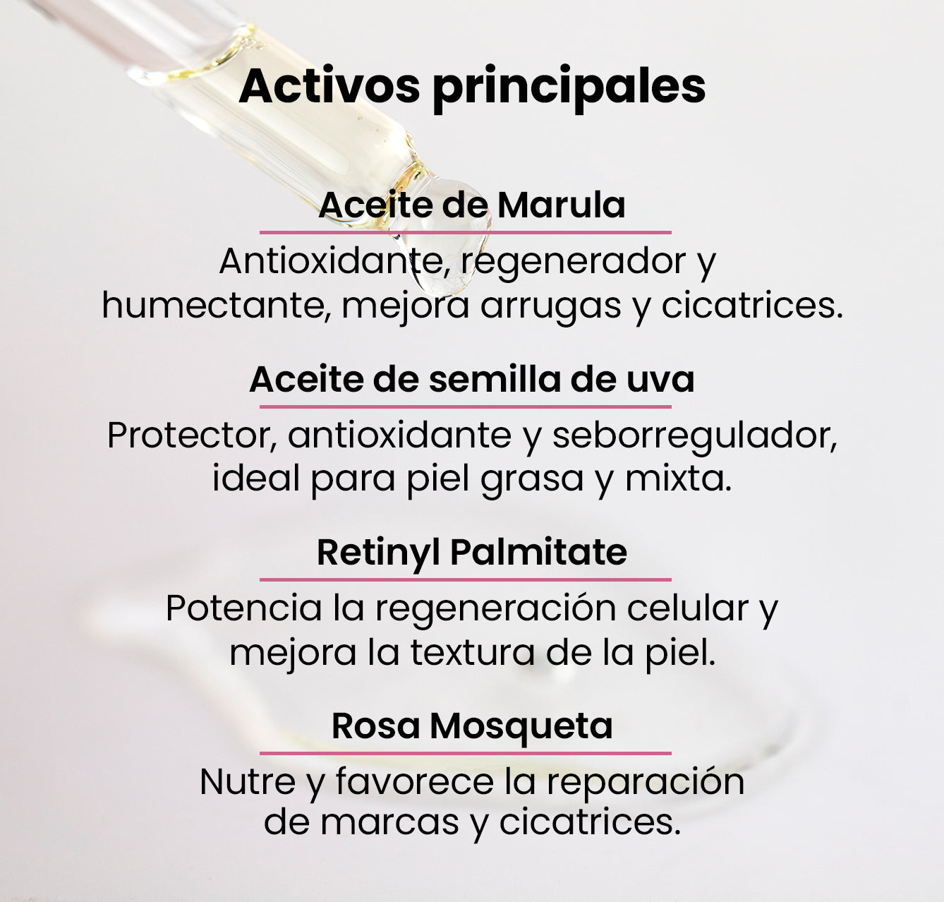 Activos principales