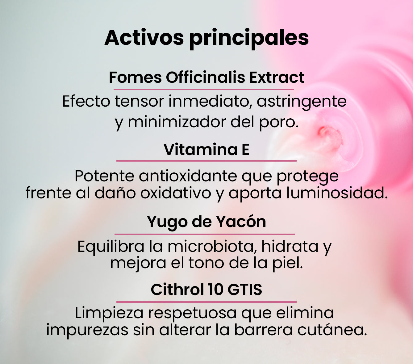 Activos principales