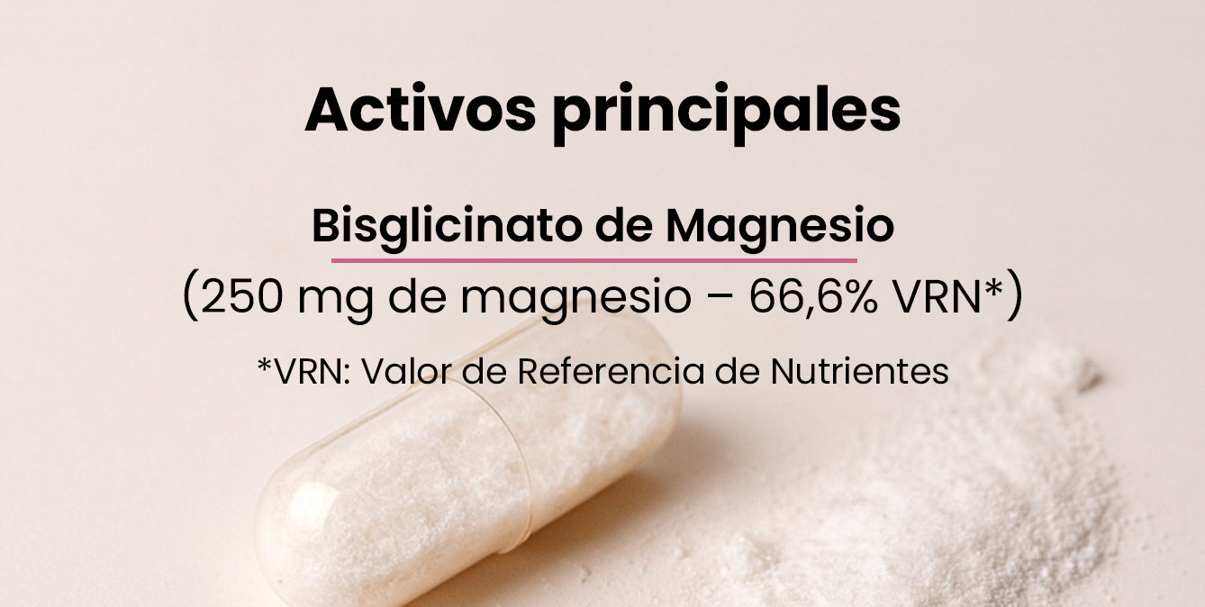 Activos principales