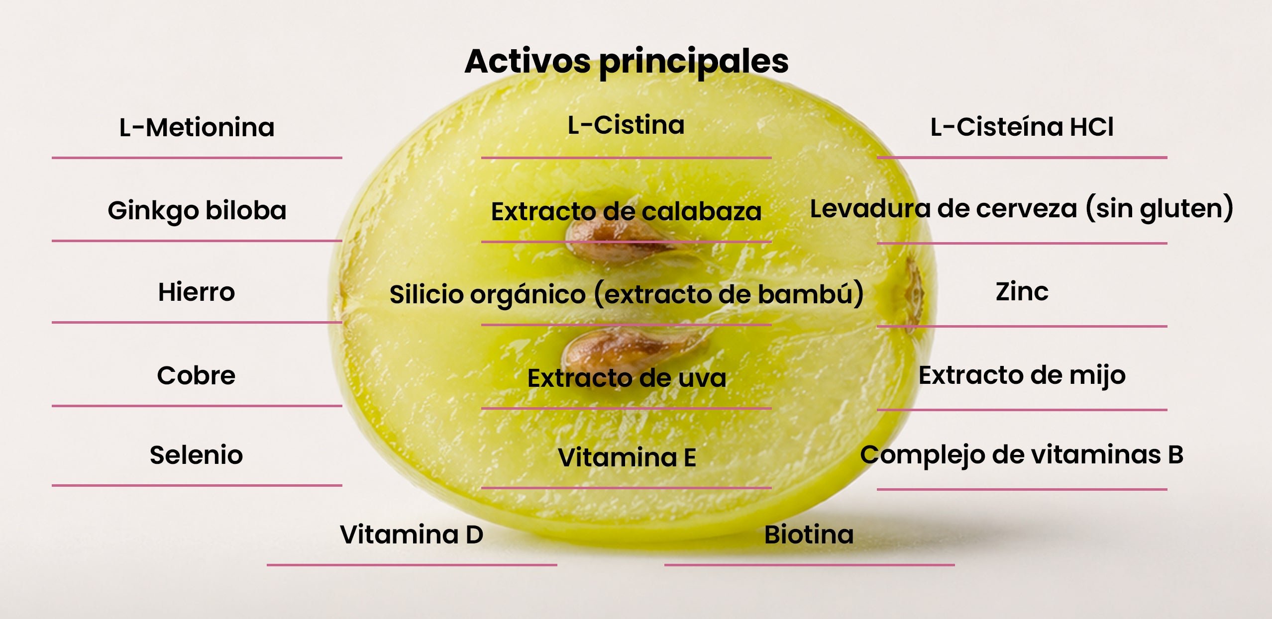 Activos principales