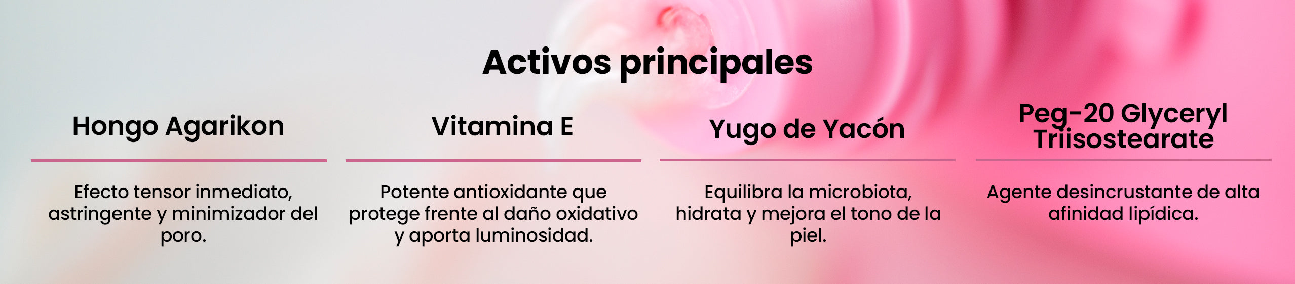 Activos principales