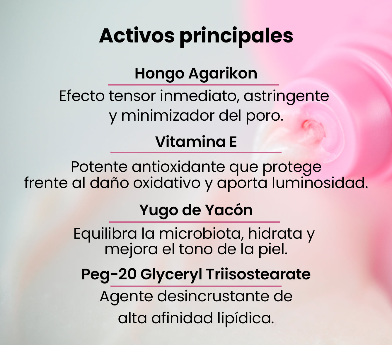 Activos principales