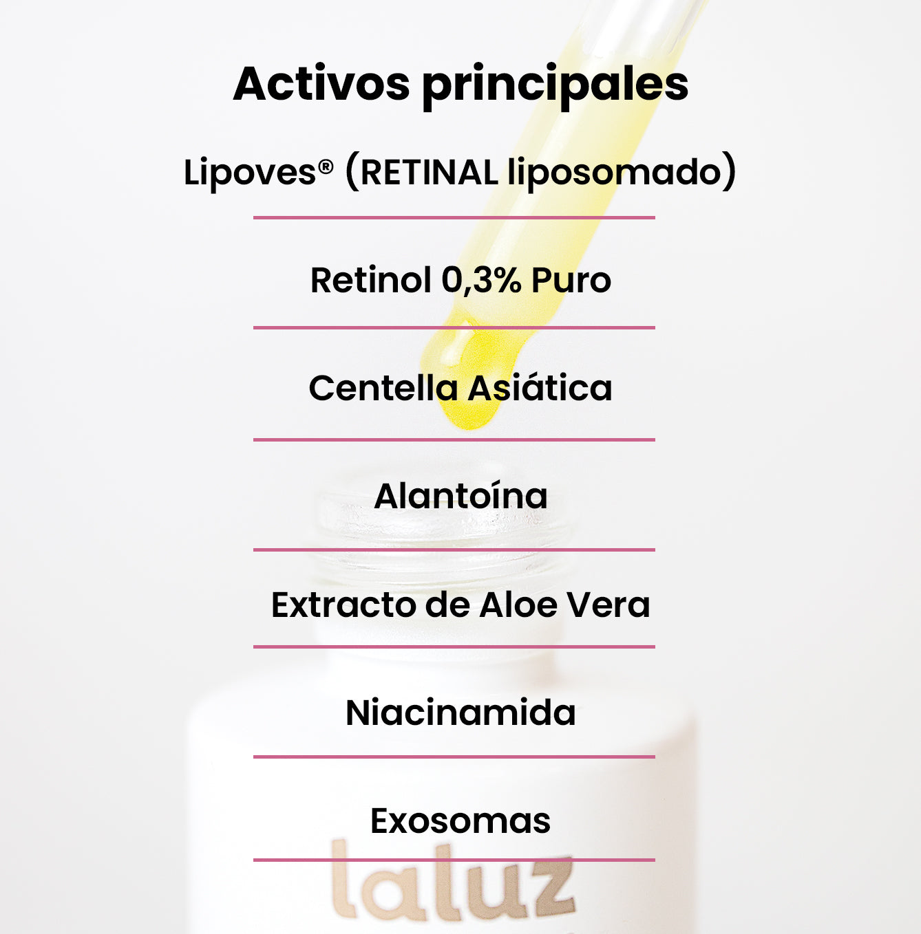 Activos principales