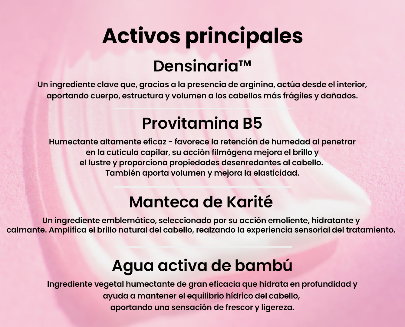 Activos principales