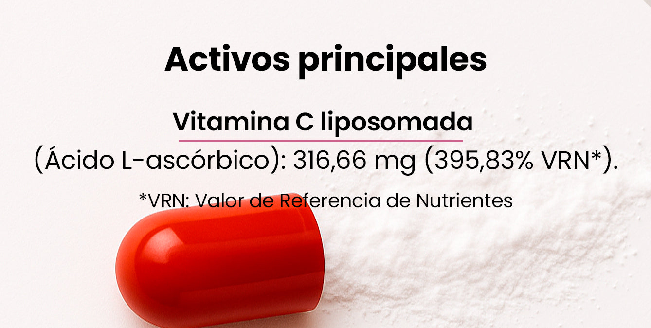 Activos principales