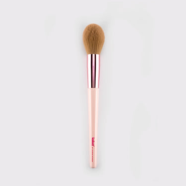 Set de brochas y pinceles